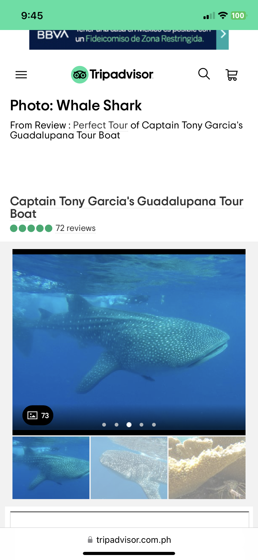 Captain Tony Garcia's Guadalupans Tour Boat